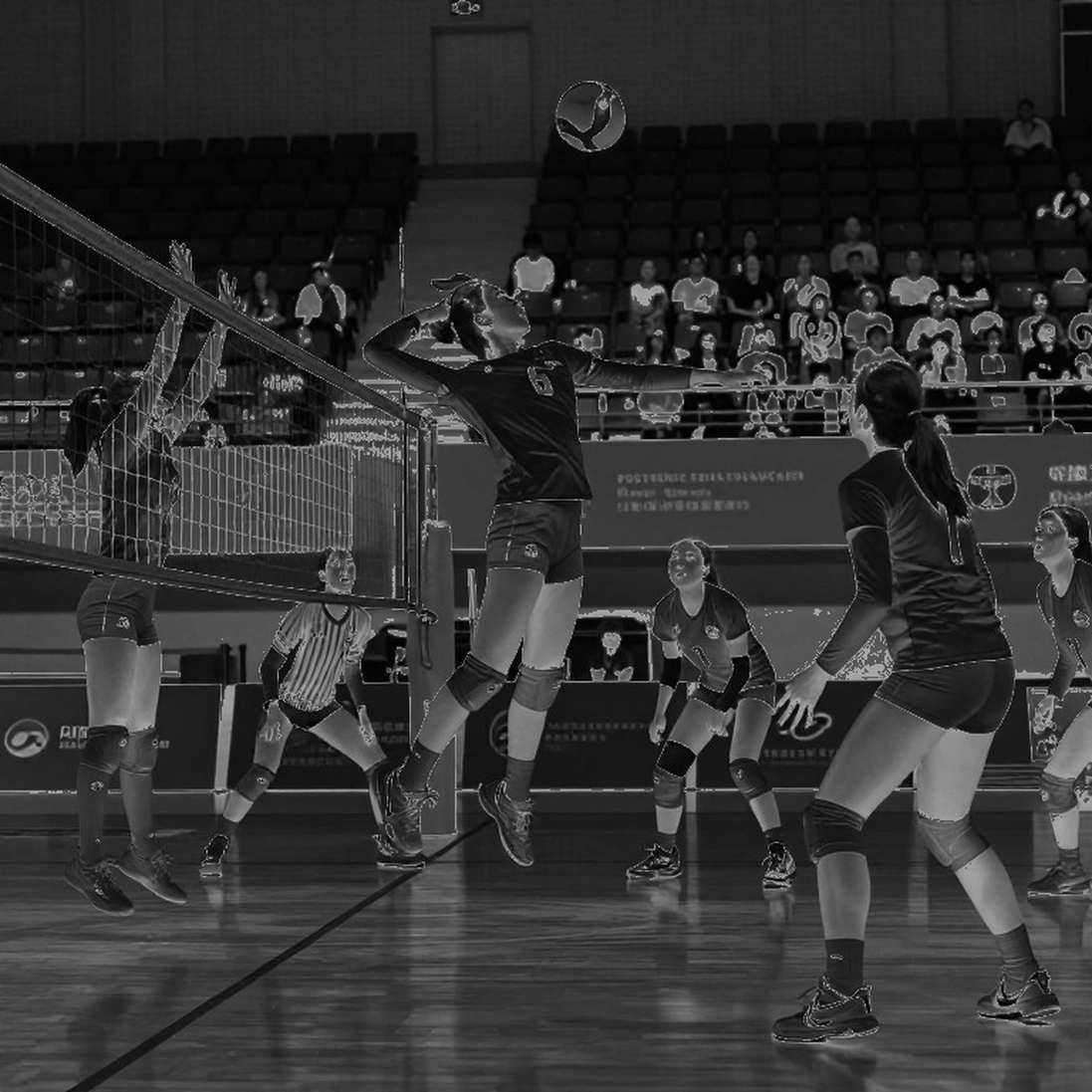 Brazil Win Their 24th South American Title: Three Hitters, One Hot Seat, and the Gap Behind the Medal Brazil Win Their 24th South American Title: Three Hitters, One Hot Seat, and the Gap Behind the Medal