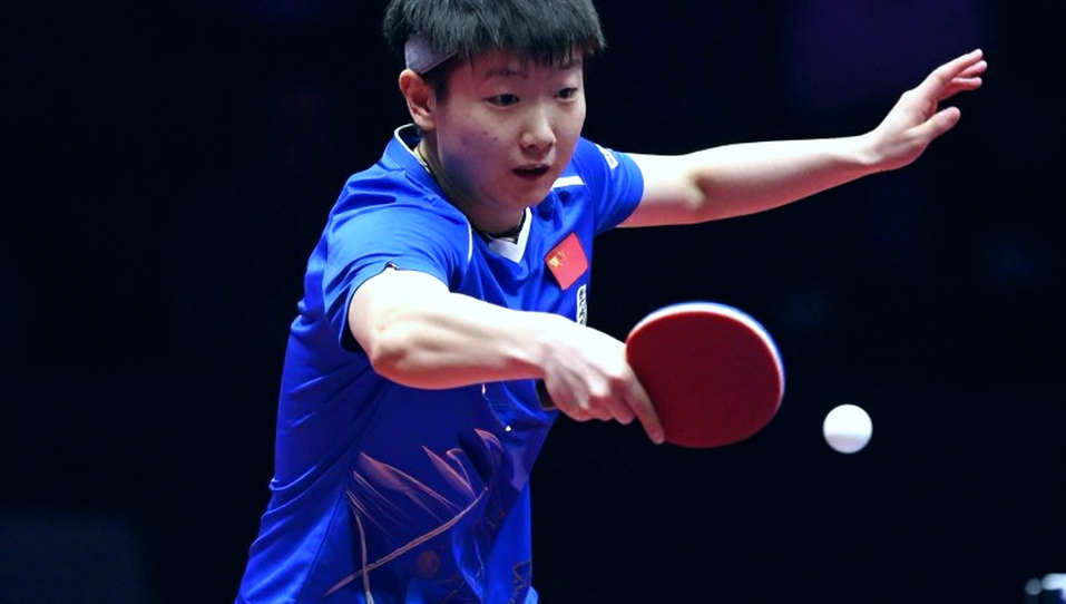 Two Silver Medals, One Ecosystem: Lessons from the PingPongParkinson French Open 2026 Two Silver Medals, One Ecosystem: Lessons from the PingPongParkinson French Open 2026