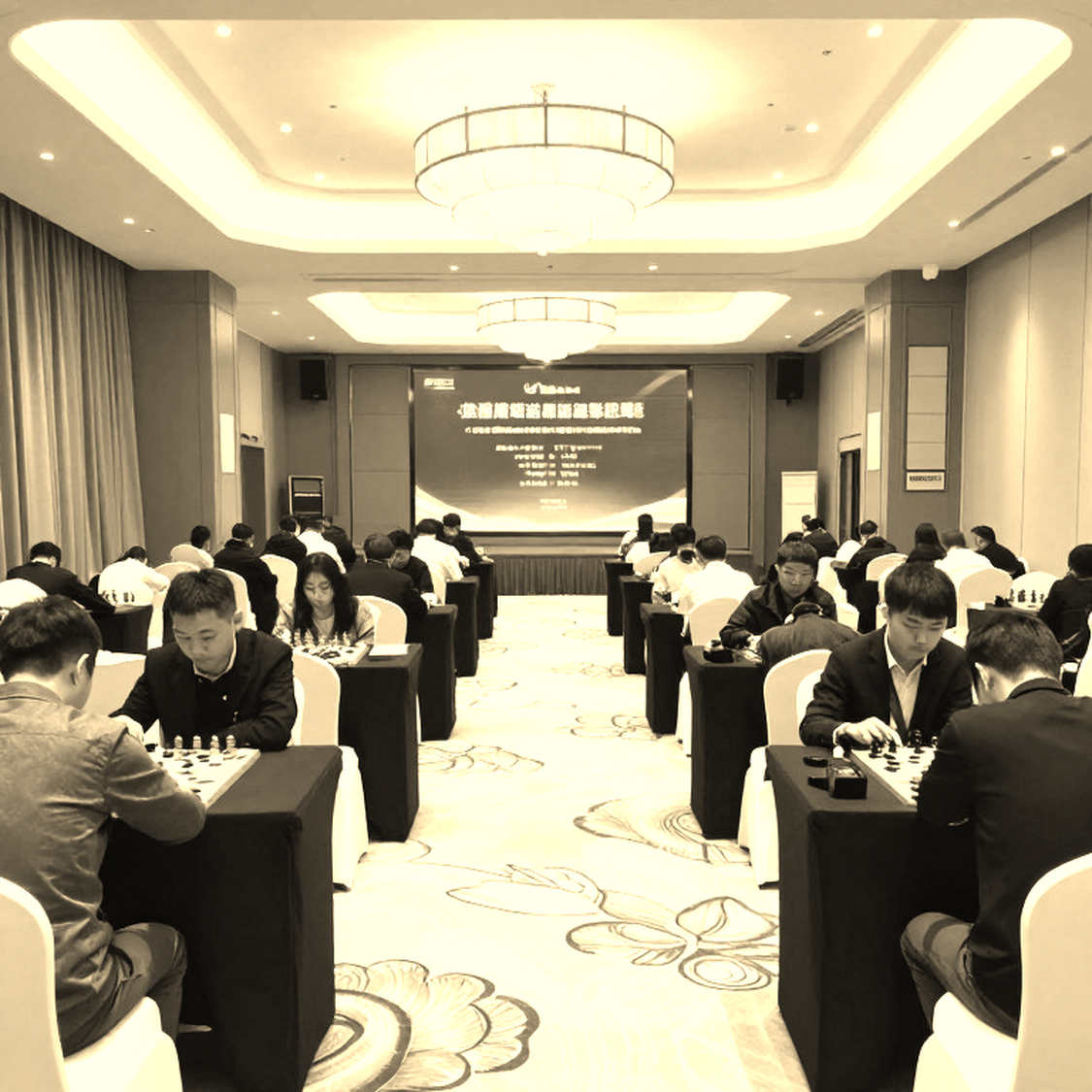 Jobava và nước 5.e5!: Khi khai cuộc Ý trở thành vũ khí, và cái giá của sự phổ biến