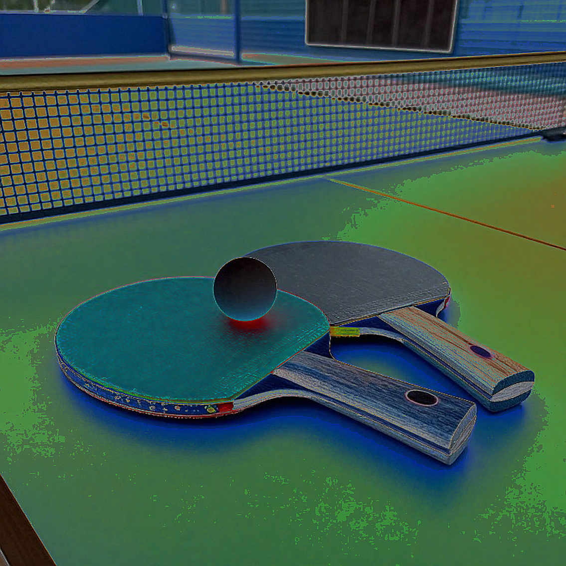 Vietnamese Table Tennis and the Data Shield: When the Ranking Hides a Shaking Hand Vietnamese Table Tennis and the Data Shield: When the Ranking Hides a Shaking Hand