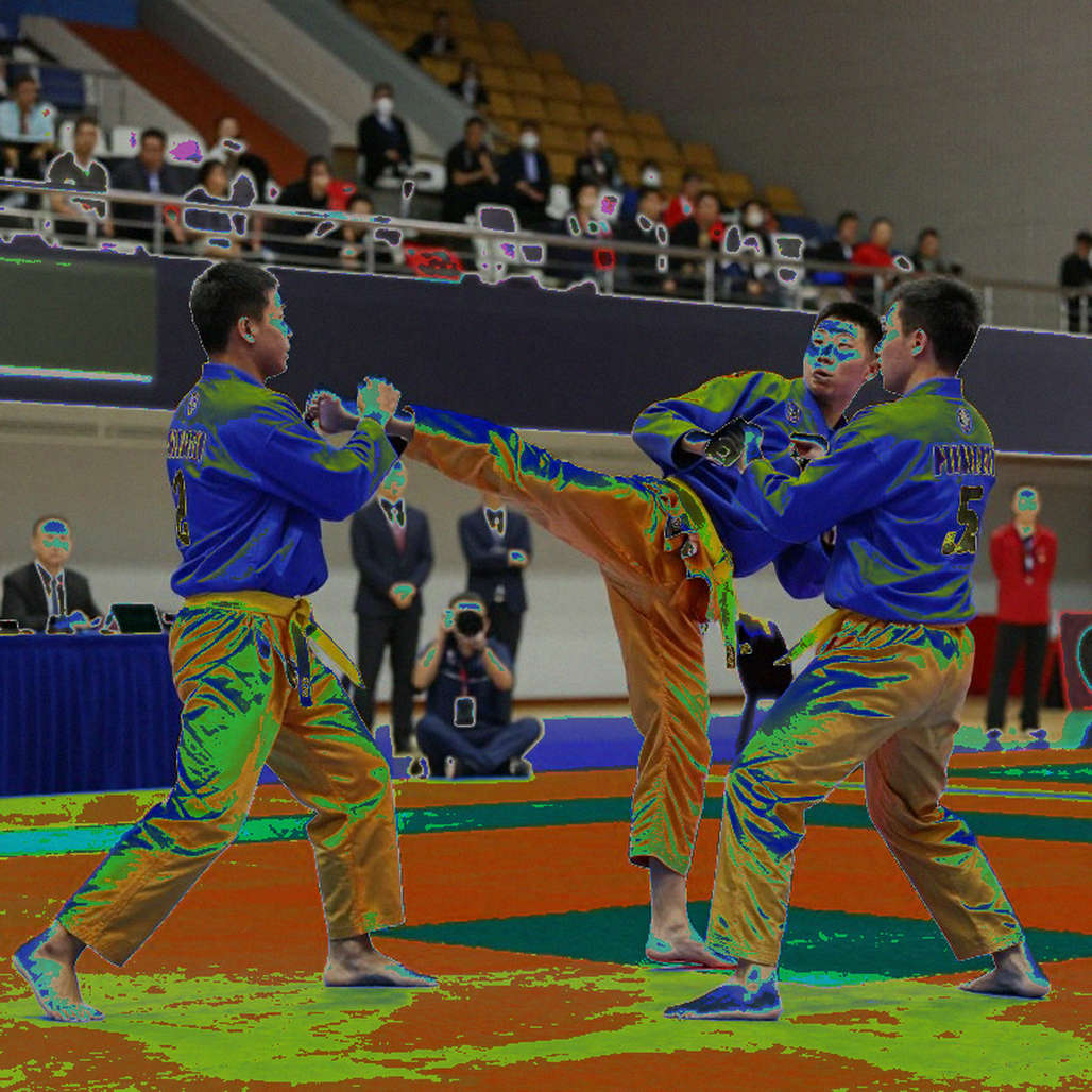 Empty Data: The Biggest Blind Spot in Vietnamese Martial Arts News Empty Data: The Biggest Blind Spot in Vietnamese Martial Arts News