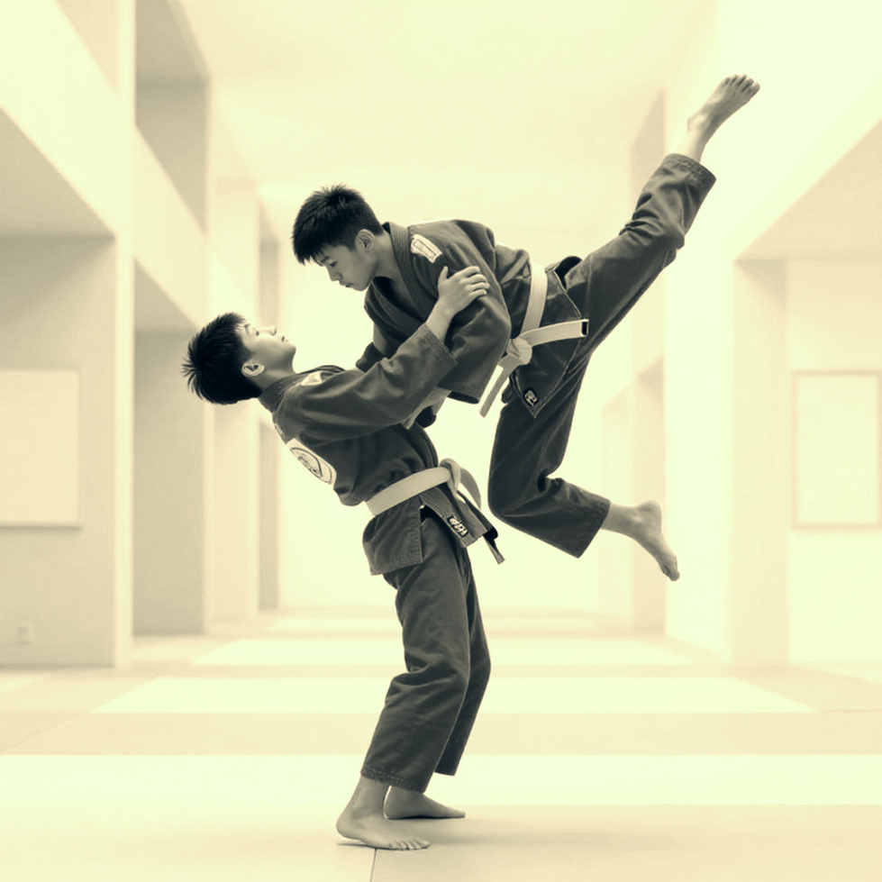 Vietnamese Martial Arts Between Two Worlds: Traditional Identity and the Professional Arena